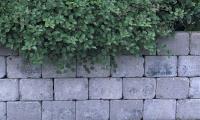 Retaining Wall Contractor image 5